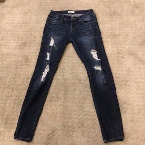 Cello jeans